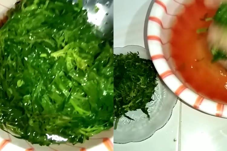 Cuma pakai 2 bahan dapur, begini cara merebus daun kenikir agar tetap hijau segar