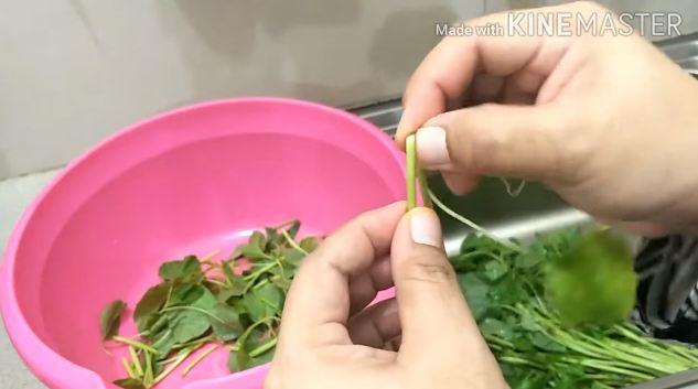 Jangan langsung dipotong, ini trik sederhana bersihkan bayam agar tak terasa pahit saat dimakan