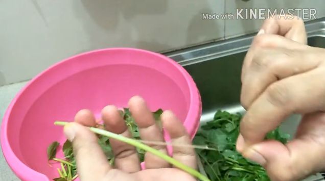 Jangan langsung dipotong, ini trik sederhana bersihkan bayam agar tak terasa pahit saat dimakan