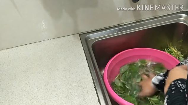 Jangan langsung dipotong, ini trik sederhana bersihkan bayam agar tak terasa pahit saat dimakan