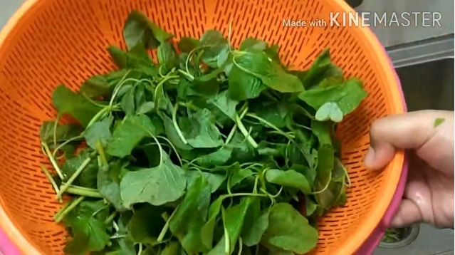 Jangan langsung dipotong, ini trik sederhana bersihkan bayam agar tak terasa pahit saat dimakan