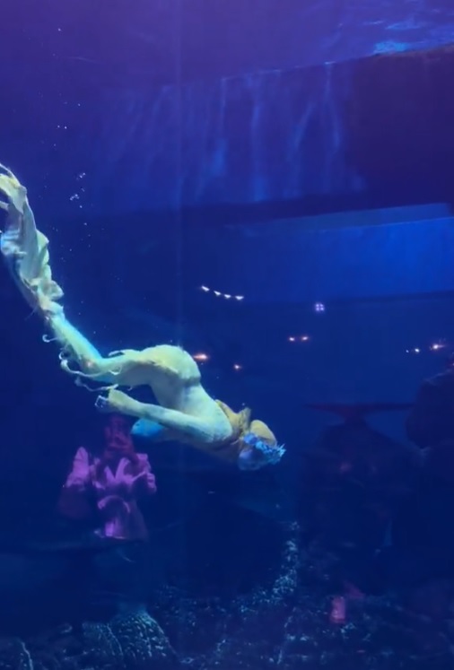 7 Potret Ria Ricis totalitas jadi mermaid di akuarium raksasa demi sang anak, aksinya tuai pujian