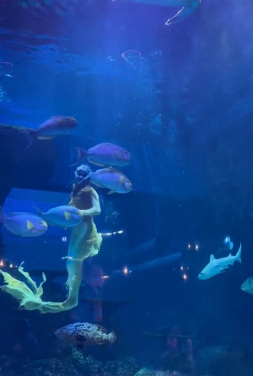7 Potret Ria Ricis totalitas jadi mermaid di akuarium raksasa demi sang anak, aksinya tuai pujian