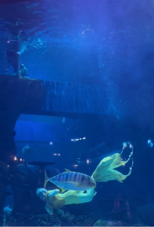 momen ria ricis tampil totalitas jadi mermaid © berbagai sumber