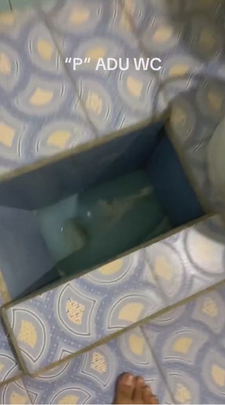 toilet antimainstream © TikTok/@americano.ice08