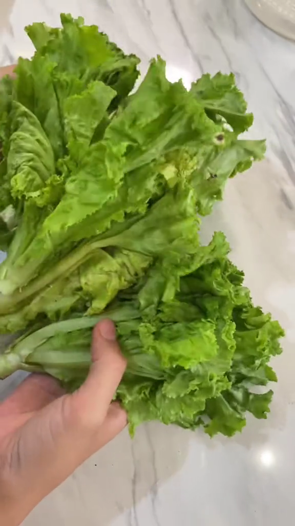 Bukan direndam air es, ini cara praktis mengembalikan selada layu agar segar kembali