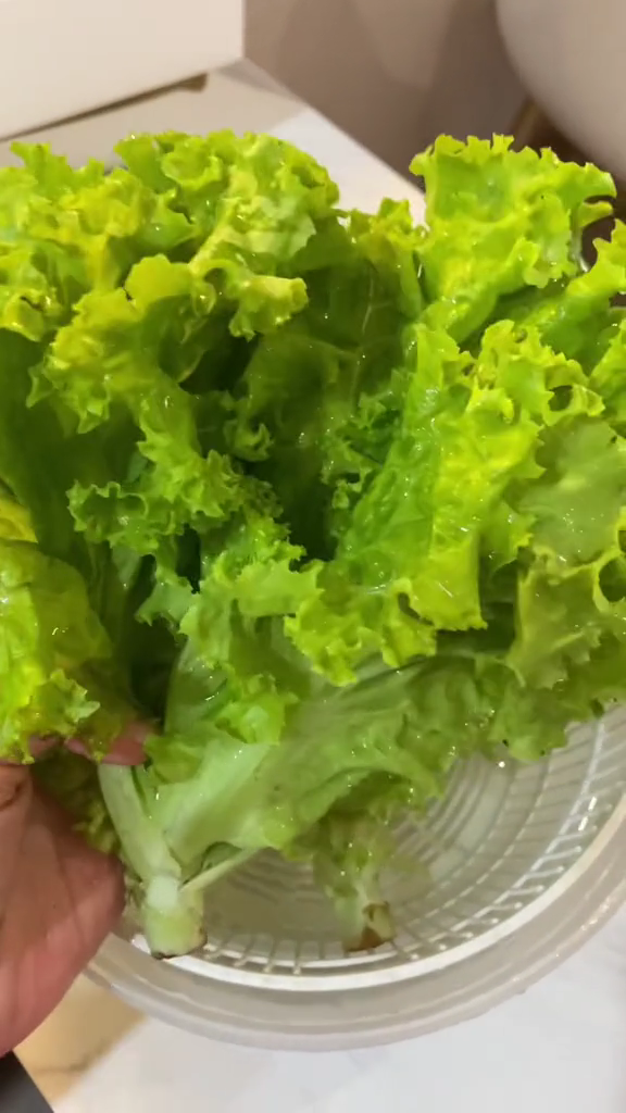 Bukan direndam air es, ini cara praktis mengembalikan selada layu agar segar kembali