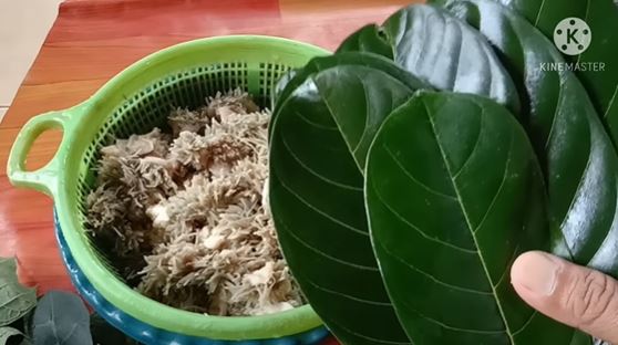 Tanpa presto, begini trik melunakkan babat agar cepat empuk dan tidak bau menggunakan bahan alami