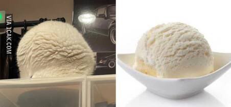 kamuflase hewan mirip makanan Berbagai sumber kamuflase hewan mirip makanan Berbagai sumber