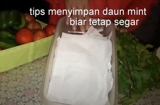 Tanpa direndam air, begini cara menyimpan daun mint agar awet, segar, dan aromanya terjaga