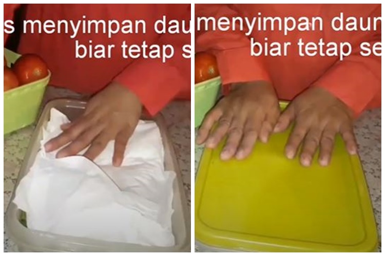 Tanpa direndam air, begini cara menyimpan daun mint agar awet, segar, dan aromanya terjaga