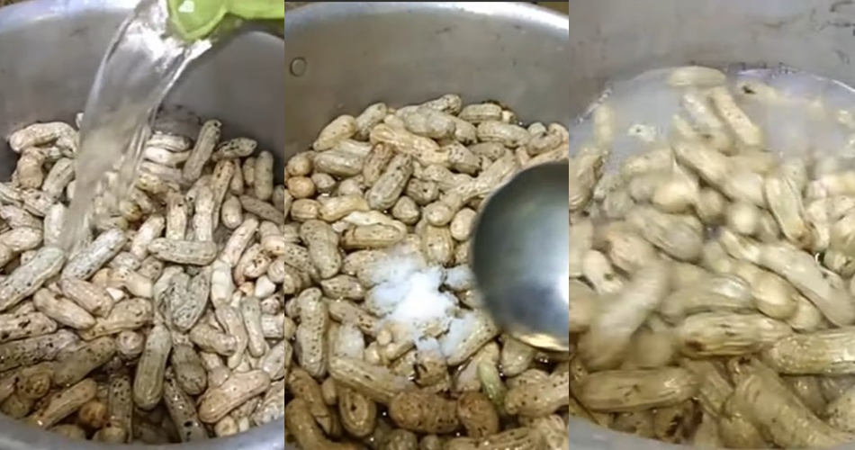 Trik jitu merebus kacang tanah agar hasilnya tidak basah tanpa diangin-anginkan