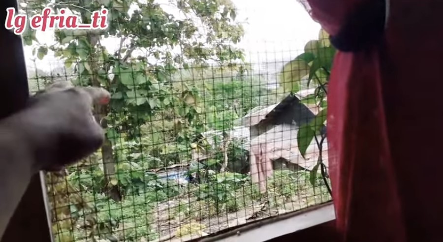 rumah kayu dalamnya estetik © YouTube