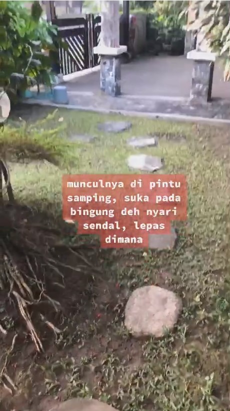 rumah mertua penataan pintu depannya bikin bingung © TikTok/@ini_ibu_budi_