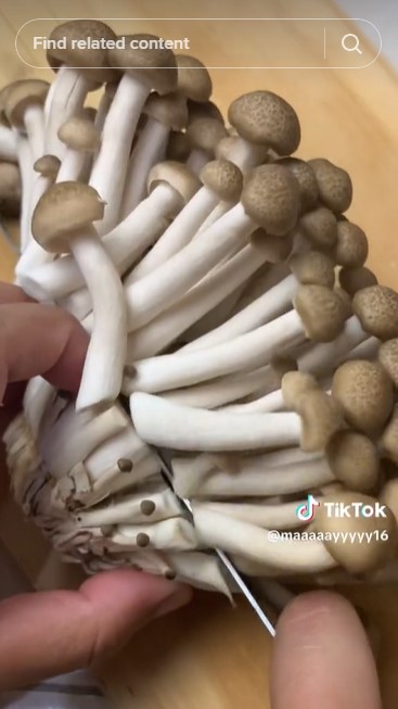 Tanpa direndam, begini cara jitu mengolah tumis jamur supaya nggak bau tengik