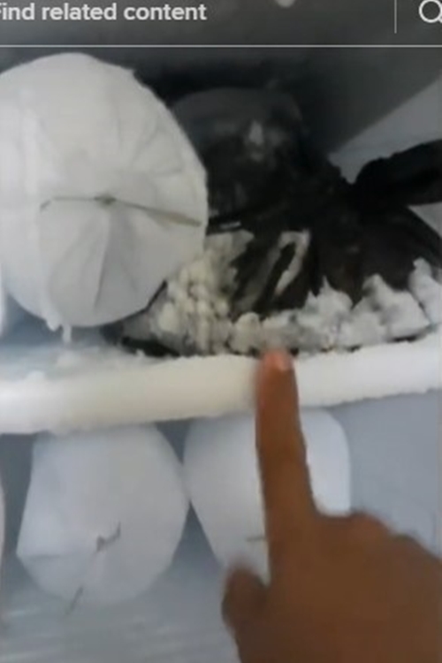 Bukan diberi air panas, cara mudah mengambil bungkus berisi bahan makanan yang menempel di rak freezer