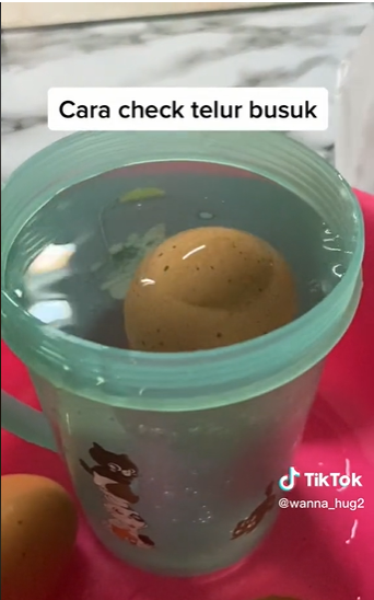 Bukan diterawang pakai senter, ini trik sederhana bedakan telur masih segar dan busuk