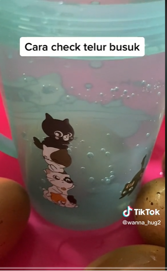 Bukan diterawang pakai senter, ini trik sederhana bedakan telur masih segar dan busuk