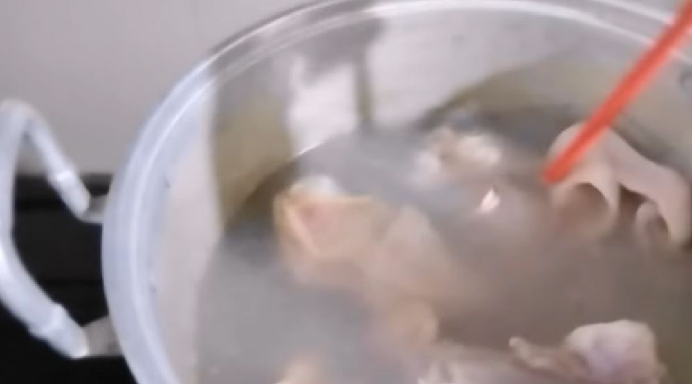 Cukup 12 menit, begini trik merebus ayam merah agar empuk pakai 2 bumbu dapur