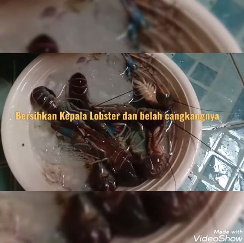 Bukan dipukul atau ditusuk pisau, ini trik praktis mematikan lobster cuma pakai 1 bahan dapur