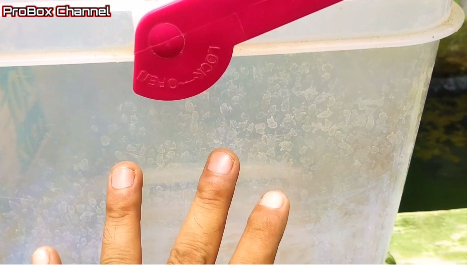 Tanpa sabun dan baking soda, ini cara ampuh hilangkan kerak di wadah plastik agar bersih seperti baru
