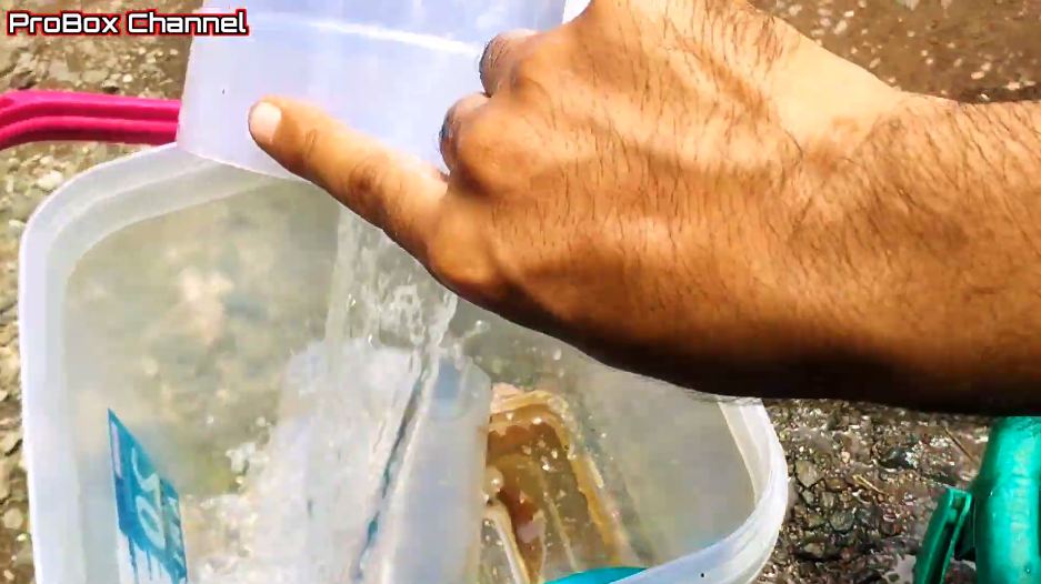 Tanpa sabun dan baking soda, ini cara ampuh hilangkan kerak di wadah plastik agar bersih seperti baru
