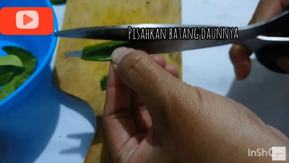 Tak perlu diblender, begini cara membuat bumbu tabur daun jeruk yang sedap dan tidak pahit