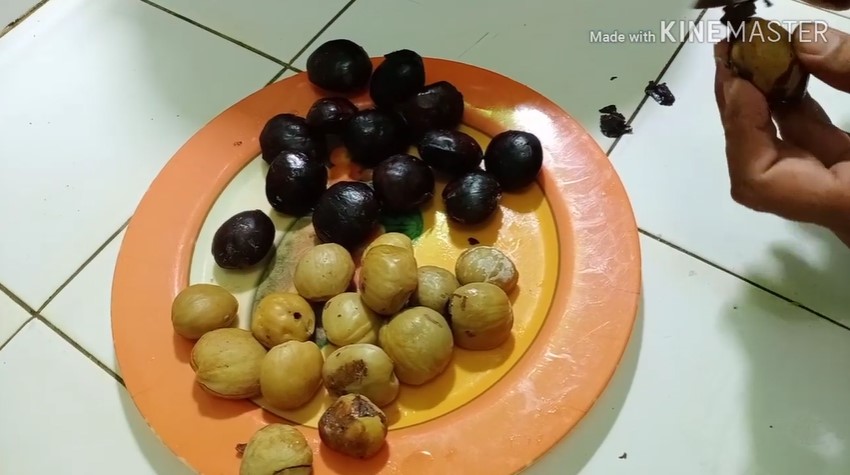 Tanpa tambahan kopi atau baking soda, ini cara merebus jengkol biar baunya hilang pakai 1 ampas dapur
