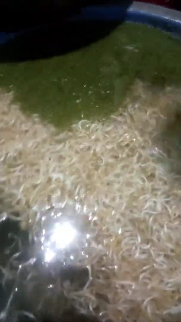 Nggak perlu direndam air jeruk atau air es, ini cara praktis pisahkan kulit kacang hijau dari tauge