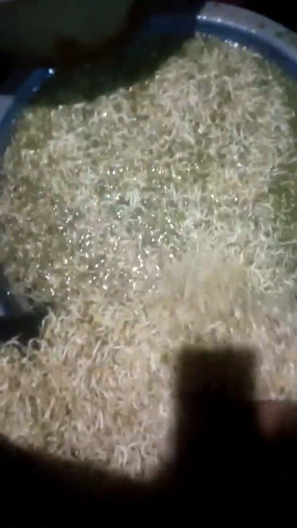 Nggak perlu direndam air jeruk atau air es, ini cara praktis pisahkan kulit kacang hijau dari tauge