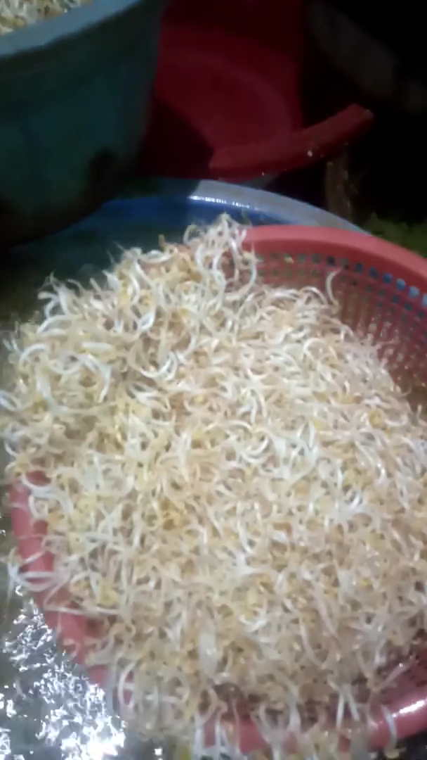 Nggak perlu direndam air jeruk atau air es, ini cara praktis pisahkan kulit kacang hijau dari tauge