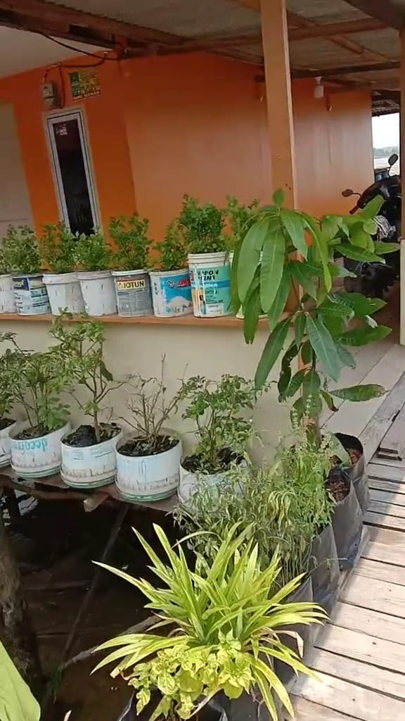 Rumah di atas laut surut © TikTok Rumah di atas laut surut © TikTok