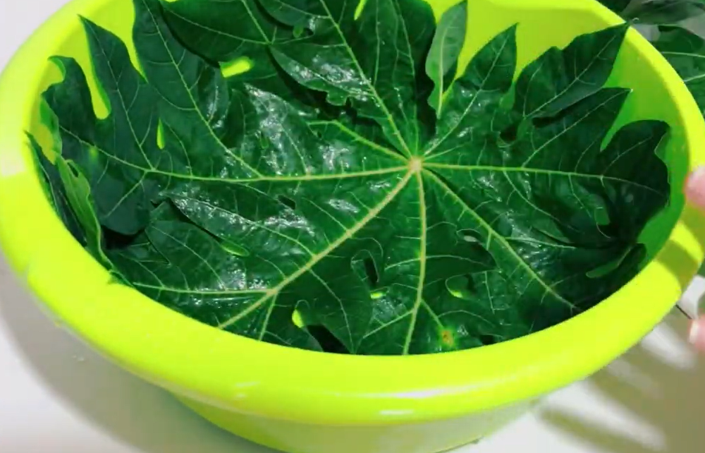 Tanpa perlu diungkep atau dipresto, ini trik praktis mengolah ayam kampung agar teksturnya empuk