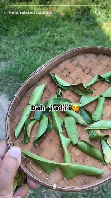 Tak perlu dibuang tulangnya, begini trik mengurangi rasa pahit pada daun jeruk
