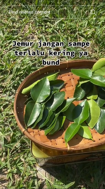 Tak perlu dibuang tulangnya, begini trik mengurangi rasa pahit pada daun jeruk