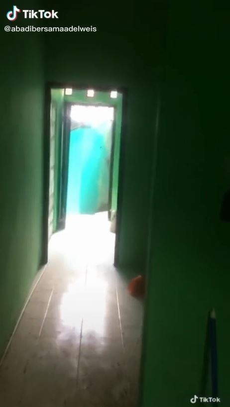 makeover kontrakan tiga petak artistik © TikTok