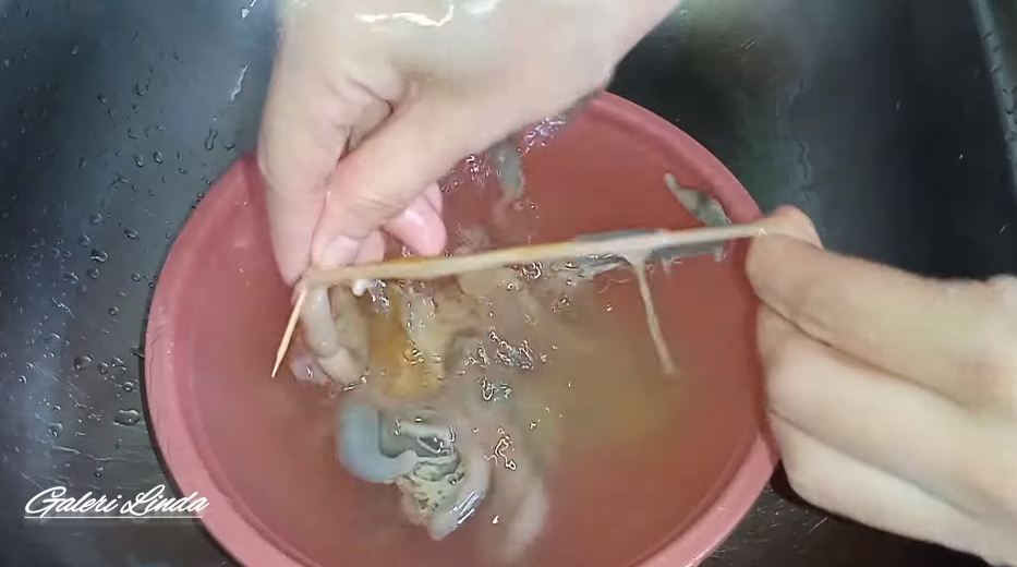 Nggak perlu dibilas berulang kali, ini trik membersihkan usus ayam supaya tidak amis