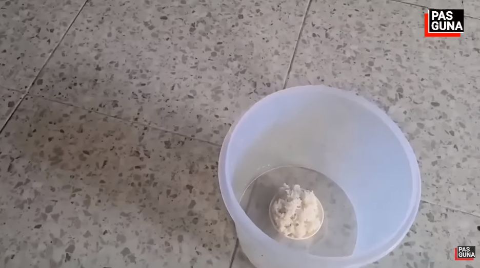 Bukan pakai kopi atau gula pasir, ini cara simpel bikin perangkap cicak cuma modal 1 bahan dapur
