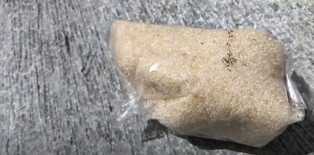 Tanpa bahan apa pun, ini cara mengusir semut di plastik kemasan gula pasir