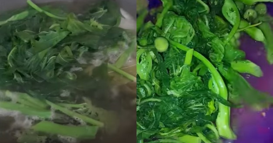 Jangan cuma direbus, ini trik jitu mengurangi rasa pahit daun pepaya