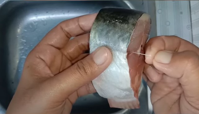 Trik menghilangkan bau tanah dan lendir pada ikan patin, ampuh tanpa jeruk nipis