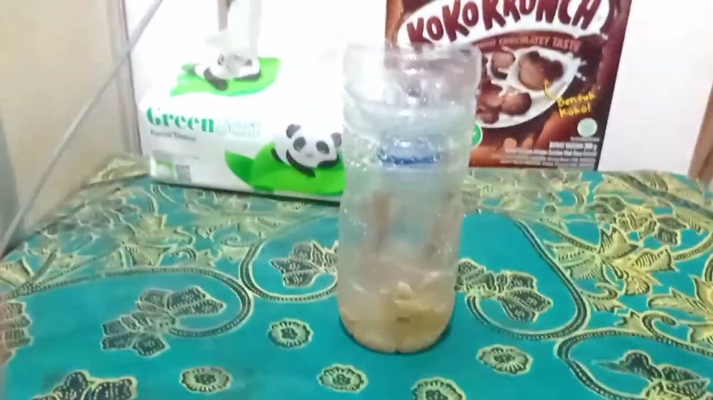 Bukan ditangkap tangan, ini cara simpel menangkap cicak cuma pakai 3 bahan dapur