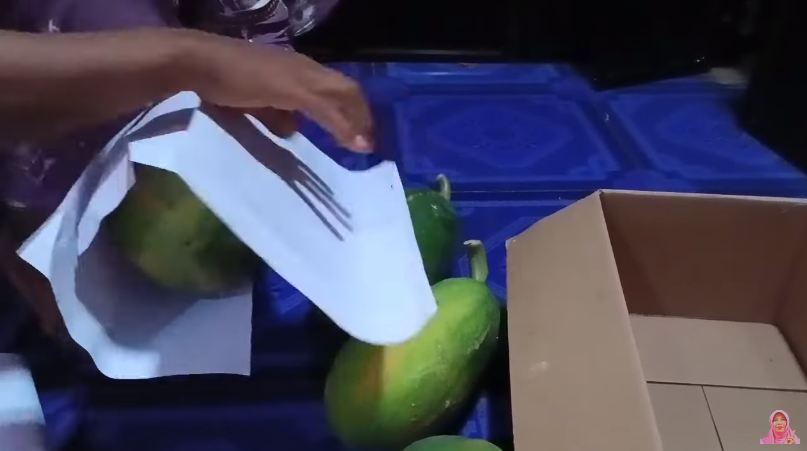 Tanpa bahan tambahan, begini trik mematangkan buah pepaya yang masih keras dalam waktu 2 hari