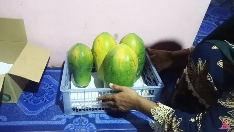 Tanpa bahan tambahan, begini trik mematangkan buah pepaya yang masih keras dalam waktu 2 hari