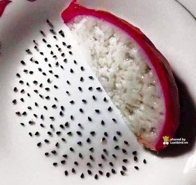 Potret kocak orang saat gabut di rumah Berbagai sumber Potret kocak orang saat gabut di rumah Berbagai sumber