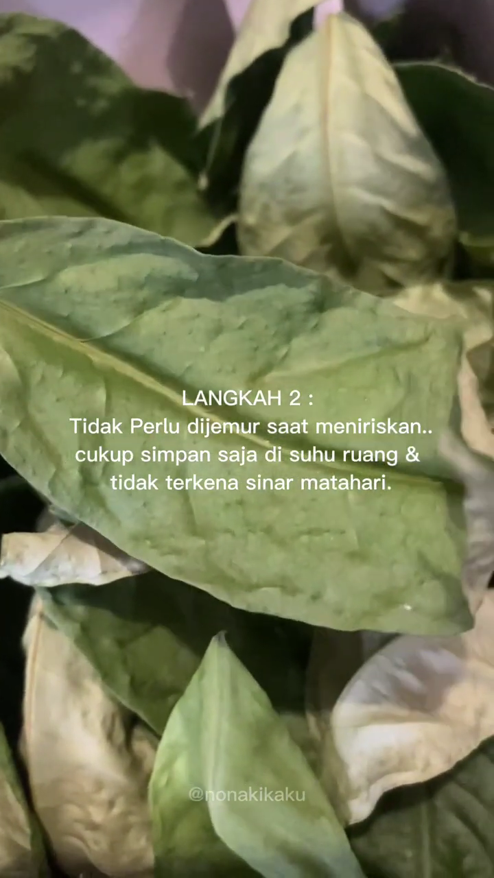 Tanpa dimasukkan kulkas, ini cara simpel menyimpan daun salam agar tak busuk hingga berbulan-bulan