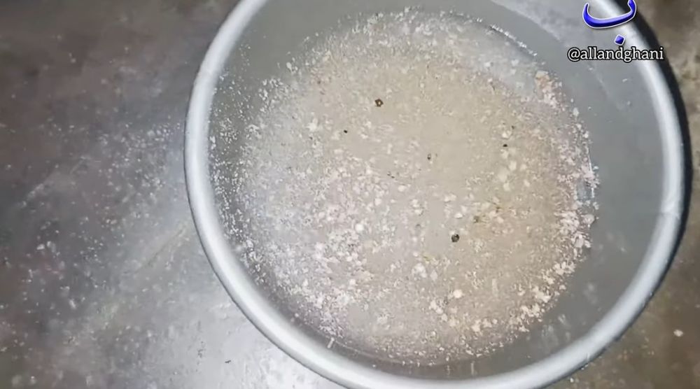 Tak perlu dibunuh, ini cara ampuh mengusir cicak pakai 1 bumbu dapur