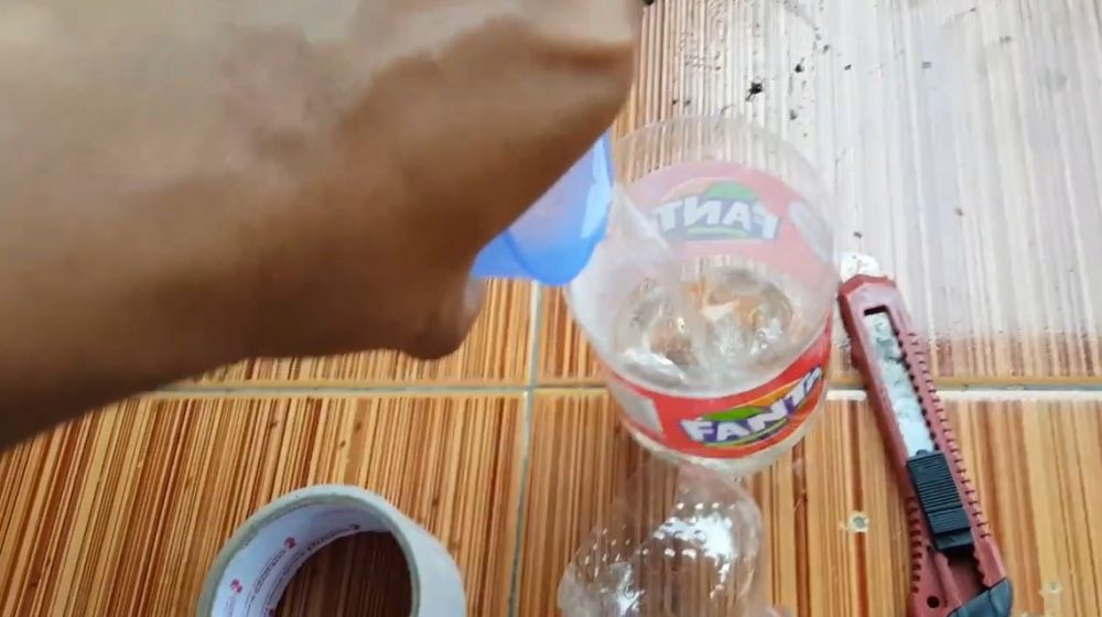 Cara mudah bikin jebakan lalat di meja makan, ampuh dengan 1 bahan dapur