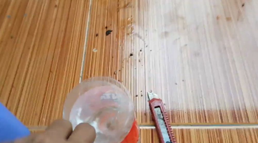 Cara mudah bikin jebakan lalat di meja makan, ampuh dengan 1 bahan dapur