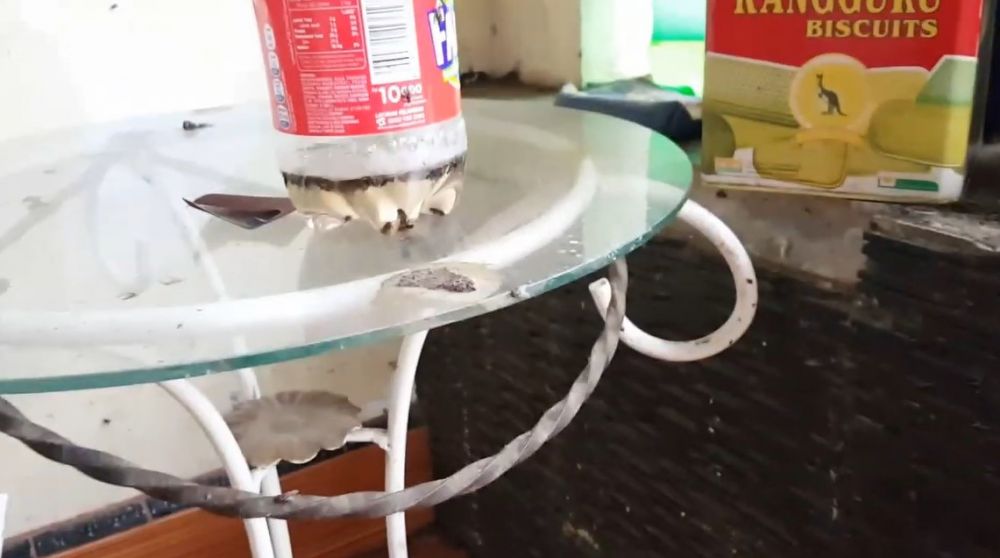 Cara mudah bikin jebakan lalat di meja makan, ampuh dengan 1 bahan dapur